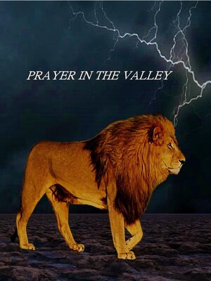 cover image of Prayer In the Valley